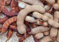 farmers get good prices tamarind in latur