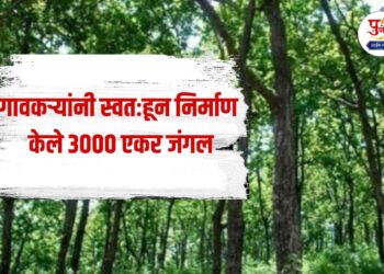 Meet the awesome villagers from karnataka have planted forests of 3000 acres