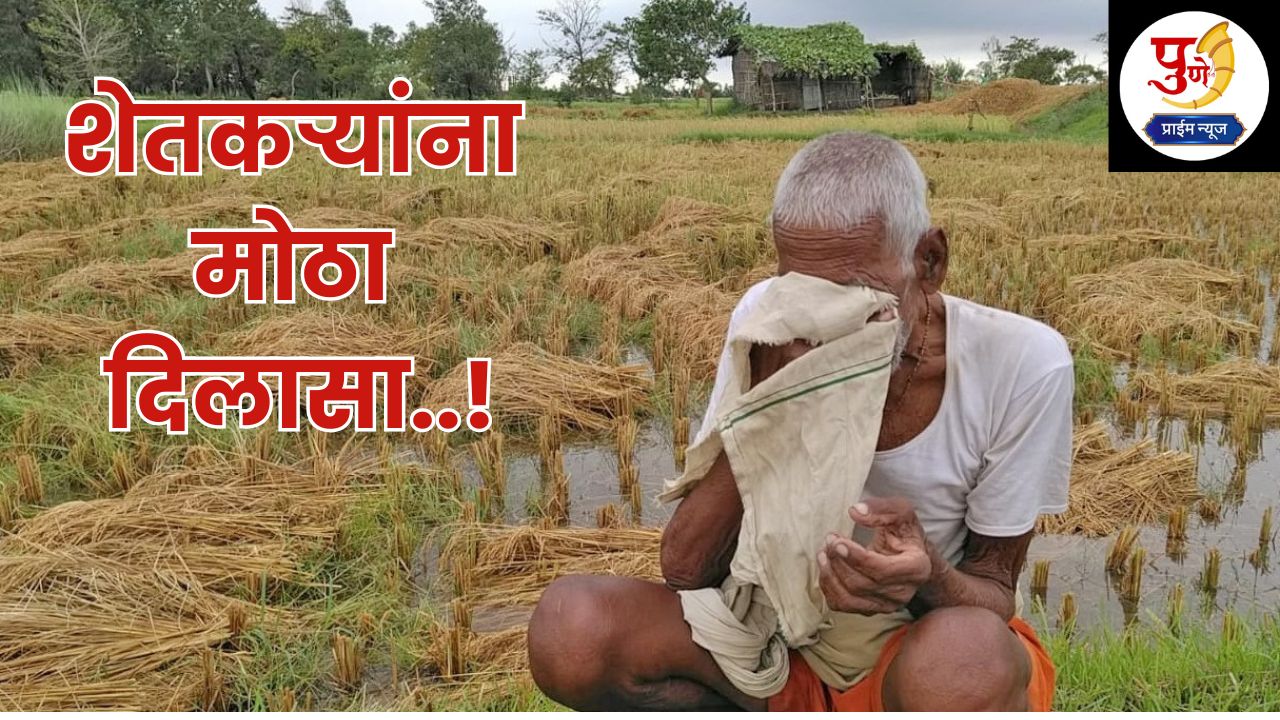 Big relief for farmers affected by heavy rains, Rs 689 crore fund approved; Farmers in 'these' districts will get help