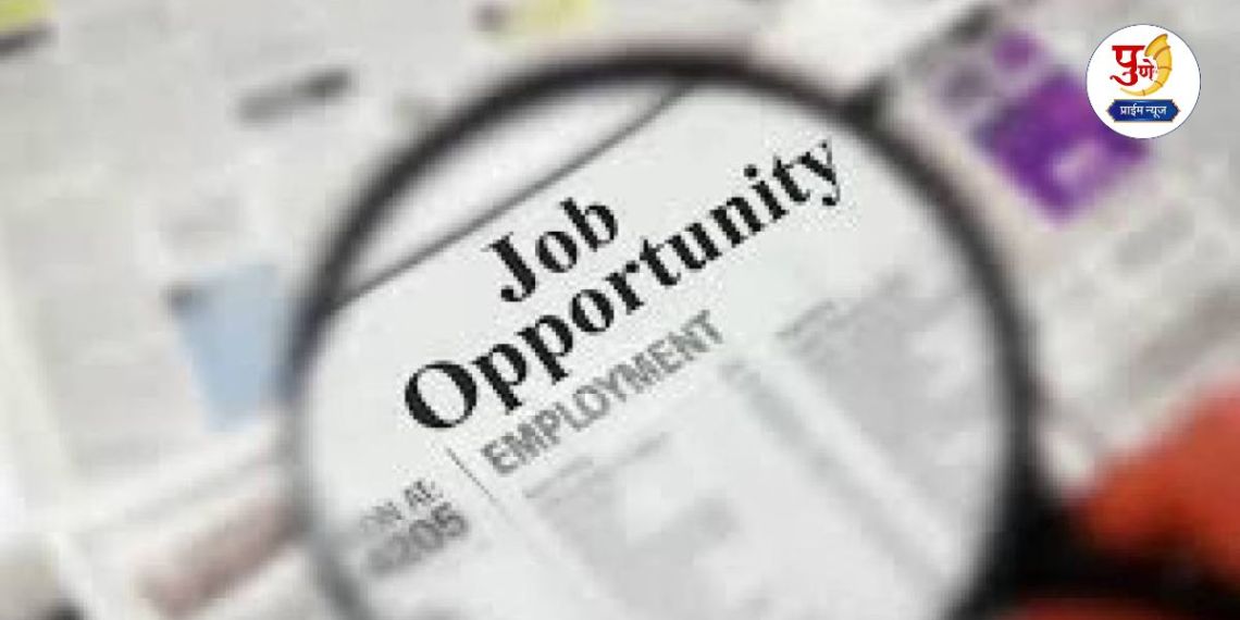 Govt Jobs: Have you passed the 10th standard and are looking for a government job Then start preparing now Big opportunities for Clerk and Typist positions at this place find out about the government's mega recruitment