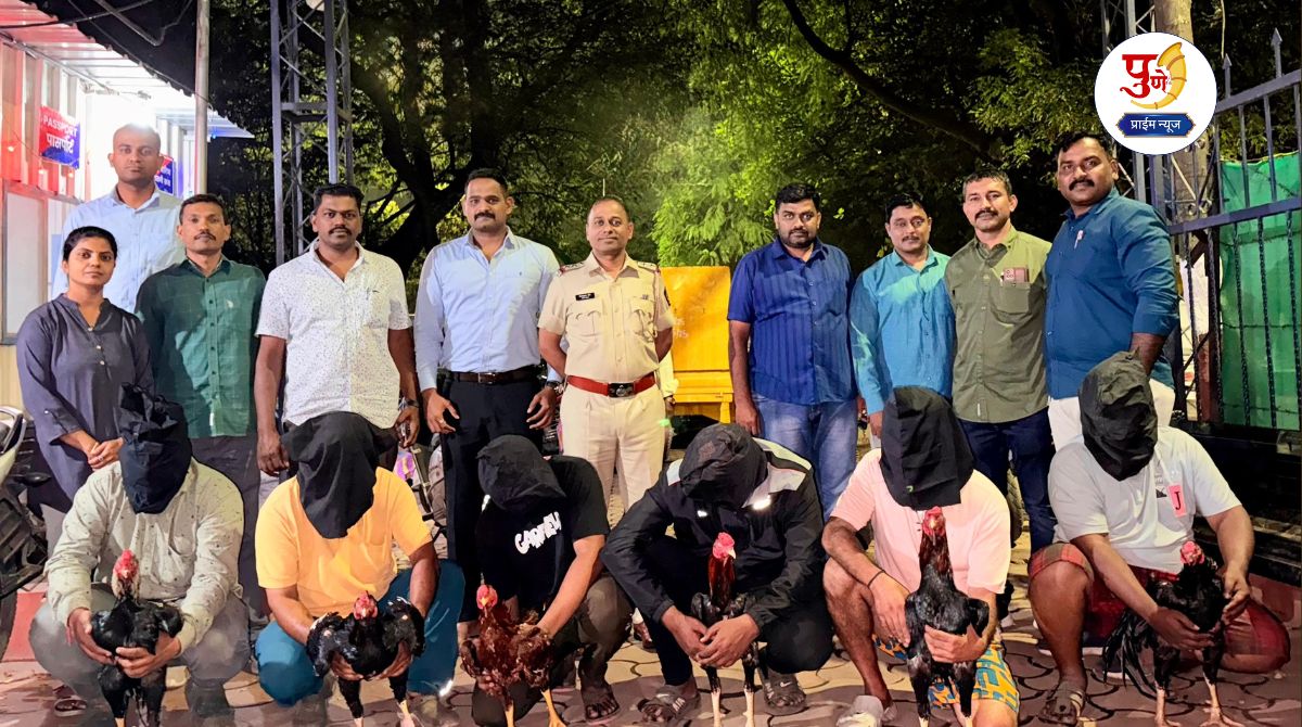 Pune Crime: Gambling on Diwali by fighting fighter cocks for money; Wanawadi police take strong action