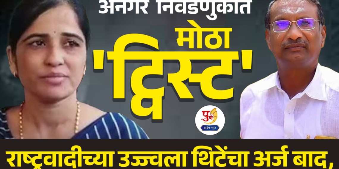 anagar nagar panchayat