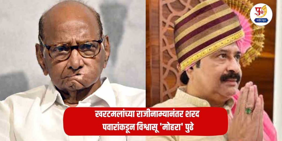 Sharad Pawar: 'Masterstroke' in Solapur NCP! After Kharatmal's resignation, Sharad Pawar's trusted 'vanguard' steps forward; The city's command is handed over to a loyal leader
