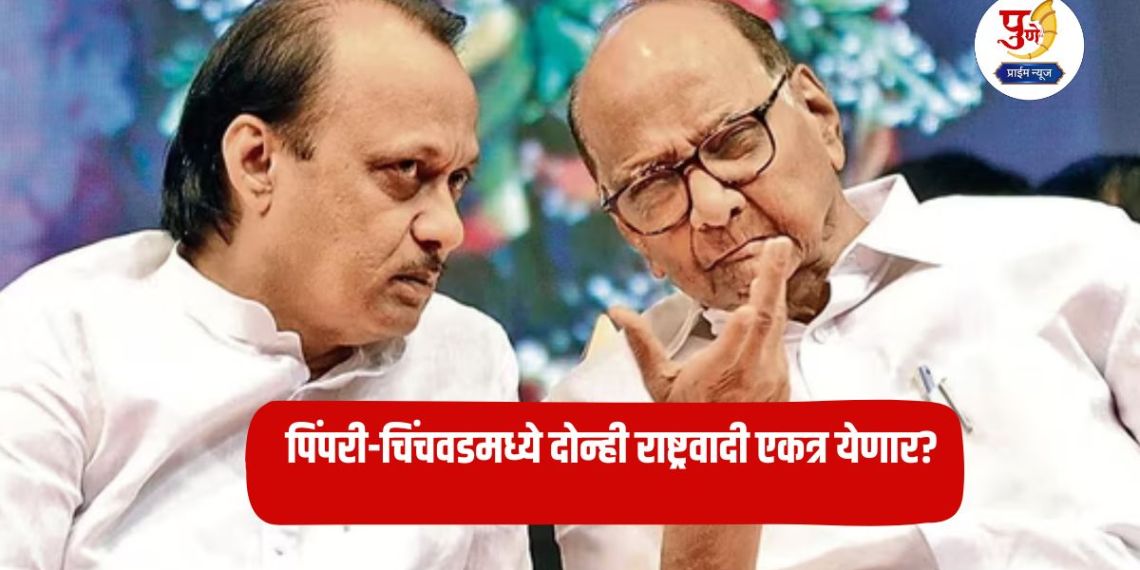 Local Bodies Election: Will both nationalists come together in Pimpri-Chinchwad? Ajit Pawar's group will be the 'big brother' in seat sharing 'since it has a bigger strength'...