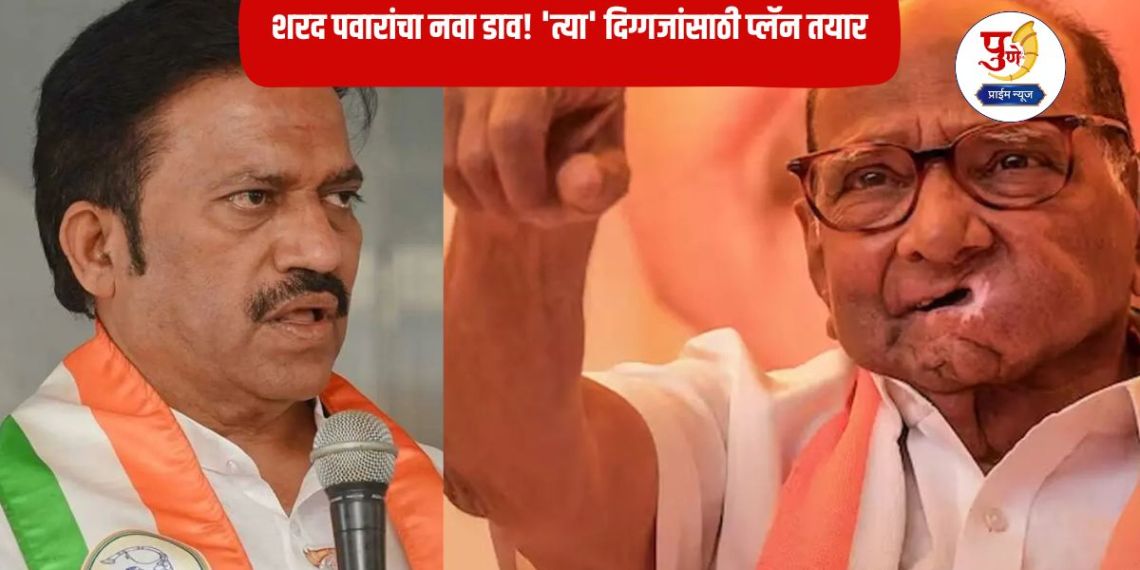 Sharad Pawar: Sharad Pawar's new plan! Plan ready for 'those' veterans; 'This' is the real reason behind excluding BJP