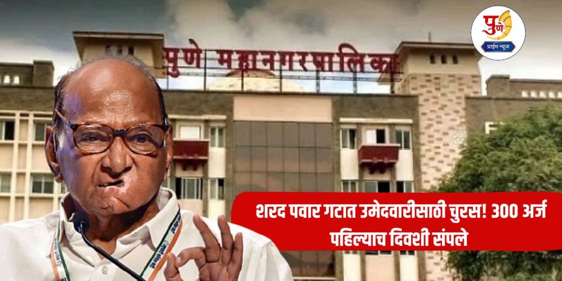 Sharad Pawar: The race for candidacy in the Sharad Pawar group! 300 applications ended on the first day; A crowd of aspirants despite paying a fee of 10 thousand