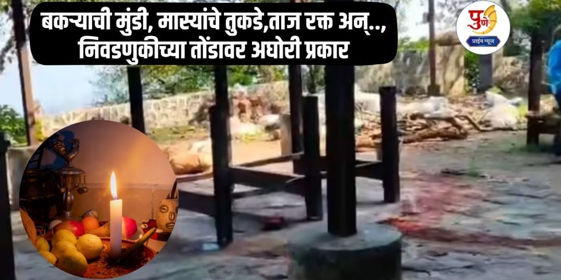 Black Magic: Goat's head, pieces of fish, fresh blood and..., Aghori types ahead of elections; Atmosphere of fear in the city