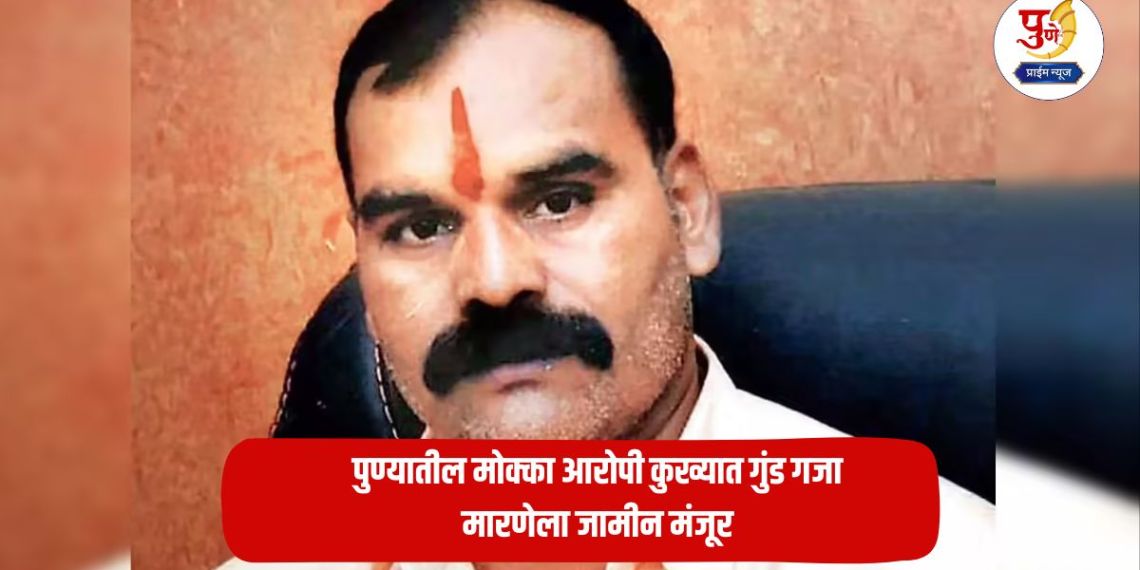 Gaja Marane: Pune's Mokka accused notorious gangster Gaja Marane granted bail; What exactly happened in court?