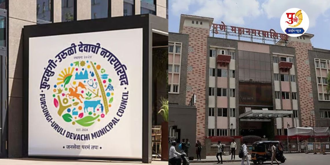 Nagar Parishad Election