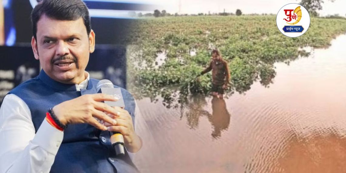 Crop Insurance Scheme: State government's Rs 31,000 crore aid scheme; Will every farmer get Rs 17,500?