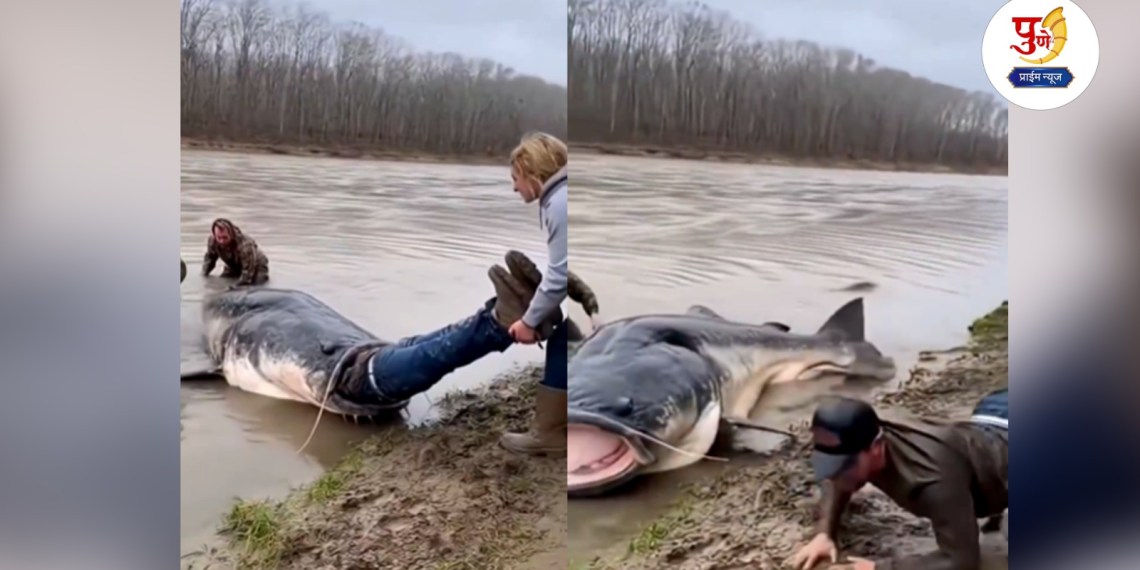 Shocking Viral Video