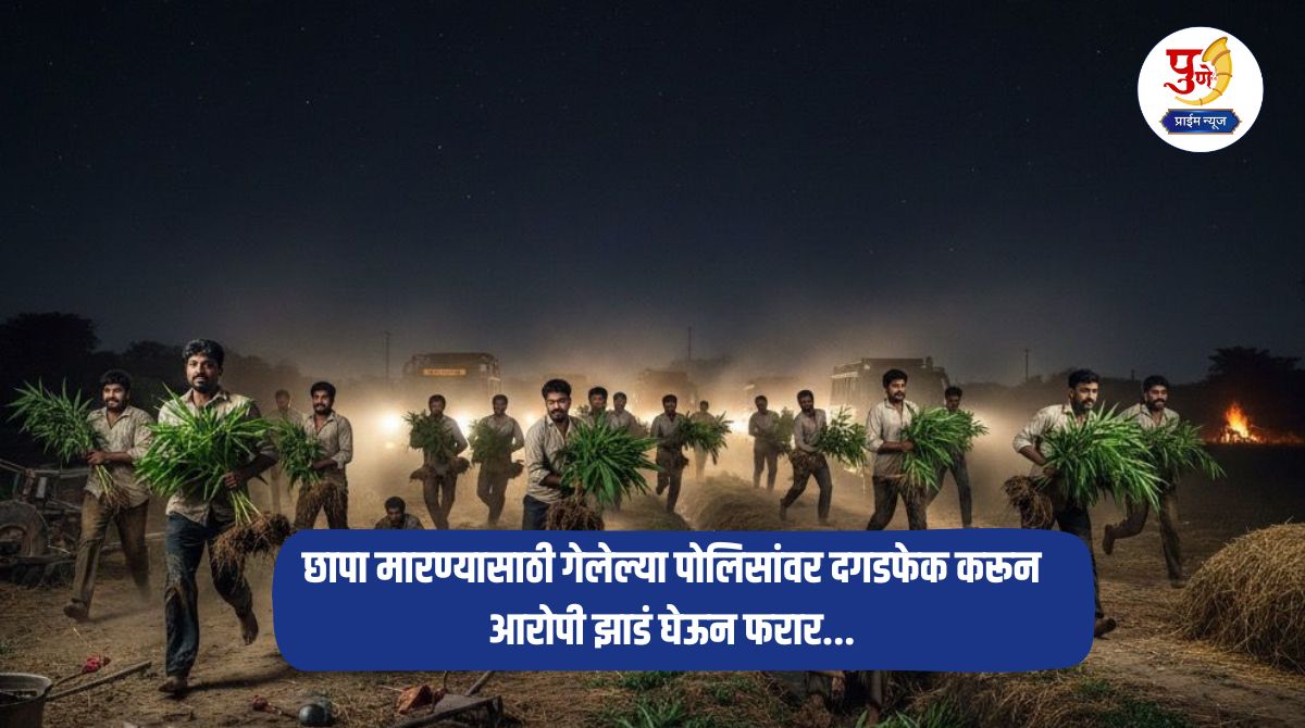 Crime News: Secret farming for 'instant wealth'; Accused pelt stones at police who went to raid and absconds with trees.. What is the real story?