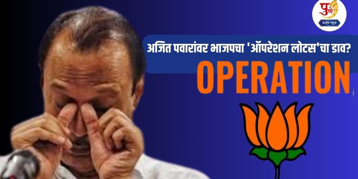 Pune Politics: BJP's 'Operation Lotus' plot against Ajit Pawar? Plan to split the party by hanging 'these' two leaders from Ajit's group; Big MLA's revelation