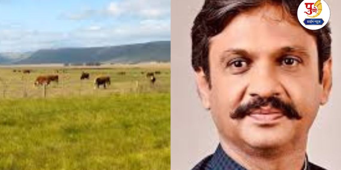 Rahul Kul: Reduce the limit of 25 acres of ''NA'' land, put houses on unclaimed land on the question track; MLA Rahul Kul's demand in the session