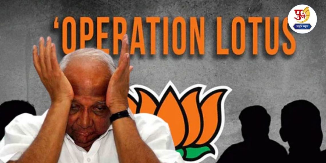 Pune Politics: BJP's 'Operation Lotus' successful in Pune! BJP wins in Sharad Pawar's stronghold; 'Mega entry' of 22 big leaders including MLA's son into BJP