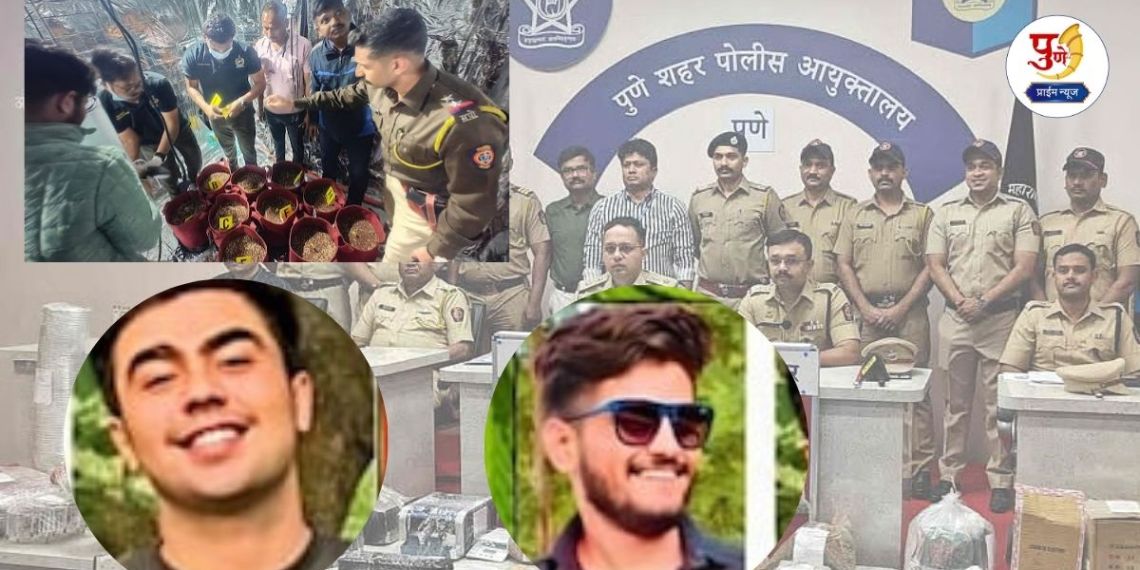 Pune Crime: Cannabis farming and drug dealing in Sambhajinagar in Pune! Gangapur youth is Pune's 'drug king'; Big update on black business