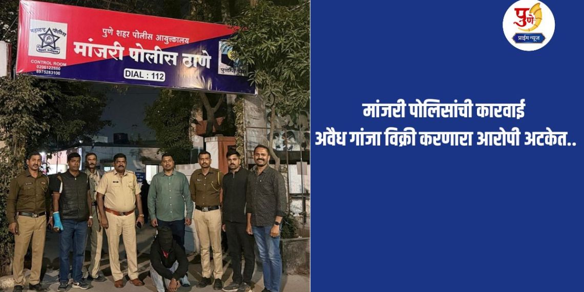 Pune Crime: Action by Manjari Police; Accused of selling illegal ganja arrested..