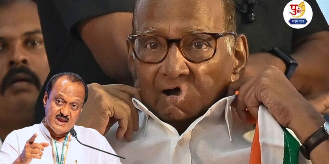 Sharad Pawar: "We will not stop for anyone!" Sharad Pawar group's 'Plan C' ready for Pimpri-Chinchwad; Political excitement