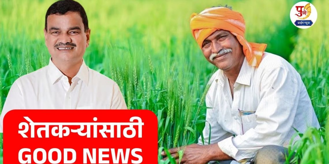 Shetkari Karja Mafi: GOOD NEWS for farmers..! There is no 'amount limit' in this year's loan waiver scheme; Arrears of farmers will be directly 'Satbara Kora'