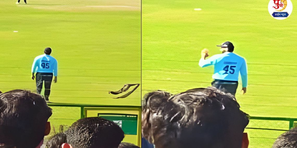 Rohit Sharma Vijay Hazare Trophy Viral Video: "Rohit bhai, will you eat a vada pav?"; A fan called out during the match, and Rohit reacted like this... Watch the viral video...