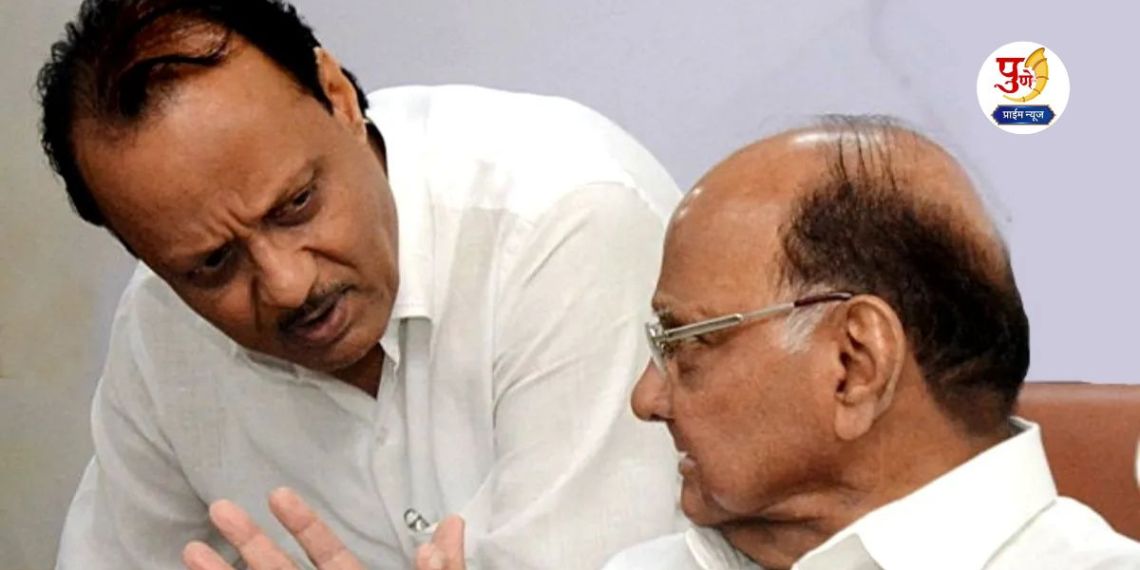 Pimpri-Chinchwad Election