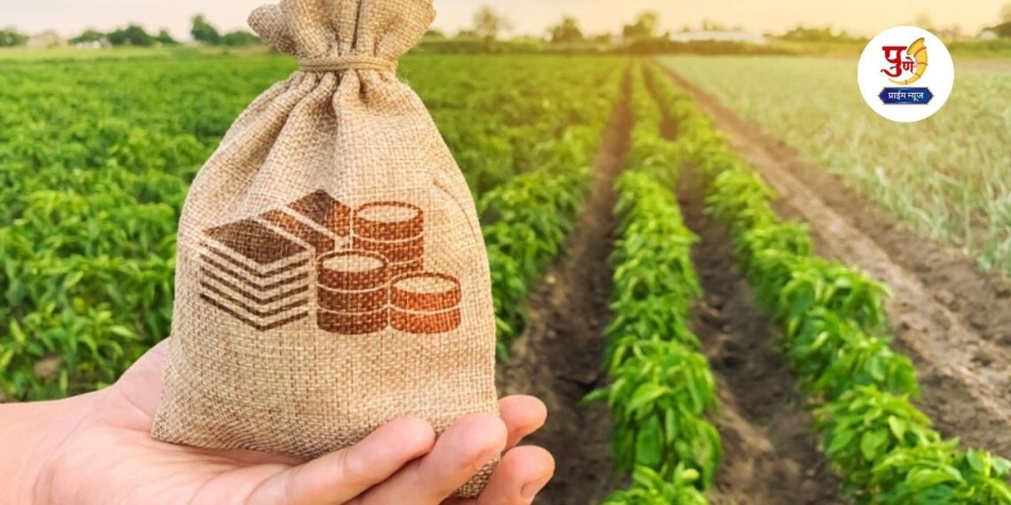 Non-Agricultural Tax
