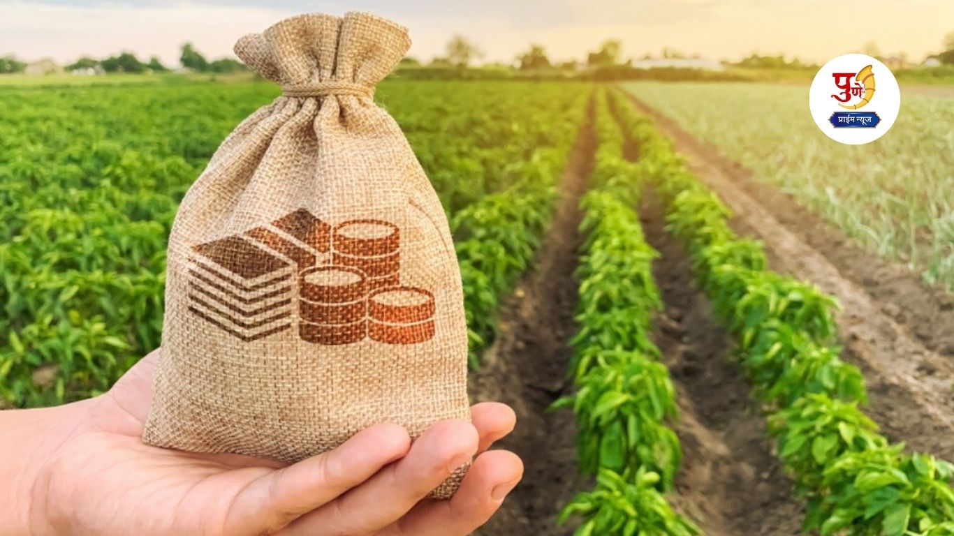 Non-Agricultural Tax