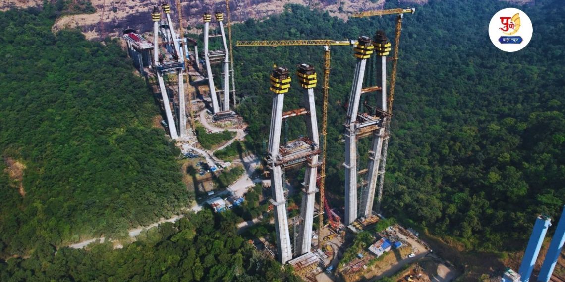 missing link project