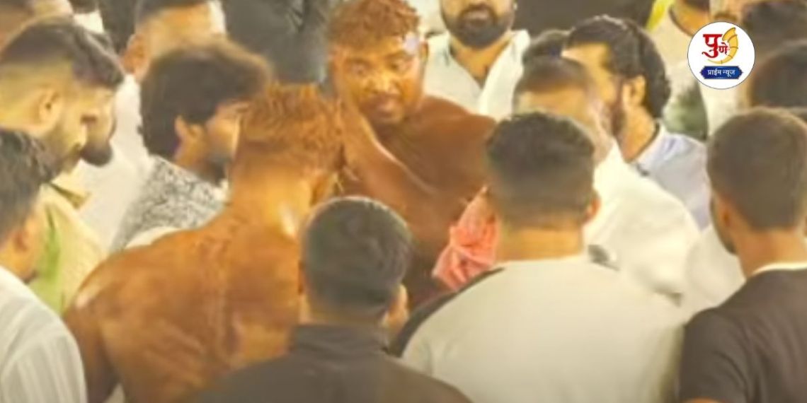 Paud News: High-voltage drama in a wrestling arena in Pune! An hour-long fight and suddenly 'he' enters; Mauli Kokate-Sikander Sheikh fight